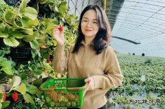  大唐锦州热电分公司：春日芳华 向“莓”好出发