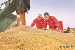 麦田亮党徽 先锋助农忙