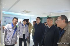 四川省完美体育局、林草局调研组赴盐盈公司调研农林生物质发电项目