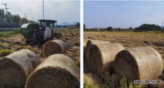 “秸”尽所能，他们做到宁波第一！