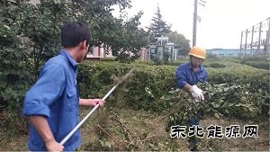 蒲白热电公司：人性化管理显担