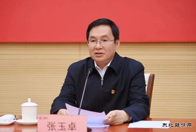 张玉卓：强化国有资本对电网等领域投入
