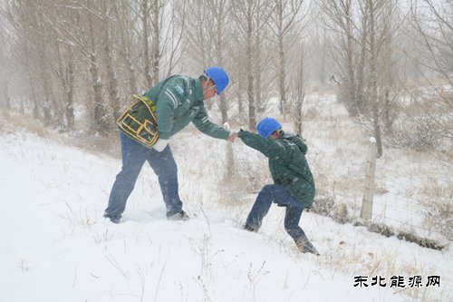 国网巴林右旗供电公司：迎寒而上保供电