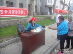 兴凯湖电业局：迎春供电开展安全用电宣传咨询日活动