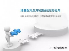 王鹏：配电改革百个试点背后危机四伏