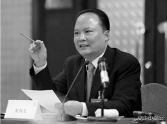 刘汉元：加快光伏产业发展 从根本上破解雾霾之困