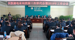 兴凯湖电业局：召开四届三次职代会暨2018年工作会议