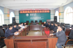 兴凯湖电业局：陈殿军局长参加东海供电主题安全日活动