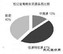 松辽盆地：迈向非常规新时代