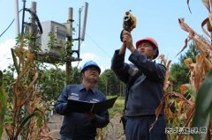 凯供城区分局：高温袭来 采取服务“加减法”应对“夏烤”