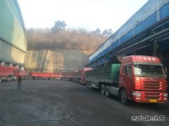 蒲白建庄矿业：日销量创新高 年度强势开局