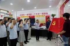 太康县供电公司：重温入党誓词  庆祝党的生日