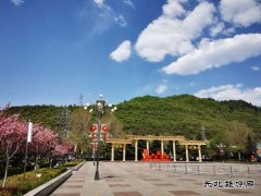 铜川矿业下石节矿：文明花开香满矿山