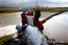 兴凯湖电业公司：电满黑土地 红红火火庆丰收