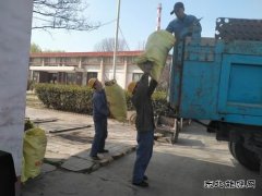 陕煤蒲白热电公司：环境清理小切口  共绘文明创建大美图