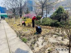 陕煤陕北矿业涌鑫公司：添绿抖尘  矿区处处展“新颜”