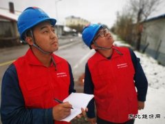 国网大兴安岭供电公司：雪后特巡 保电在行动