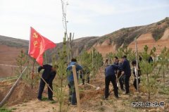 陕煤陕北矿业涌鑫公司：争做党史学习“领头雁”