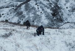 辽宁新完美体育事业部：暴风雪中全力保供