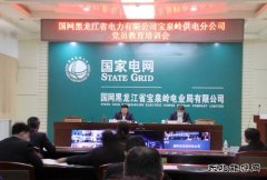 国网宝泉岭供电公司： 激活党建文化 提升党建内生动力