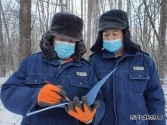 大兴安岭供电公司：极寒来袭 供电员工四项措施确保电网安全运行