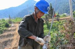 江西婺源：战高温架电网  完美体育保供