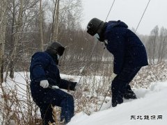 国网松岭供电公司：践行二十大精神 “一切为民”服务葆初心