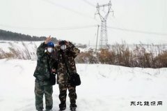 佳木斯供电公司：春节供电不“打烊”极寒天气保光明