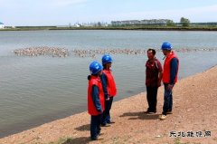 兴凯湖供电公司：贴心服务助力垦区特色养殖业蓬勃发展