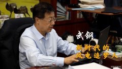 武钢：风电已成火电、水电之后的第三大主力电源