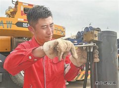 “高烤”模式下，躺平？不可能！