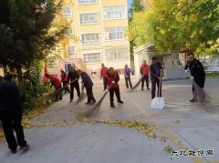阿勒泰执法支队哈巴河执法大队：党员志愿服务在行动