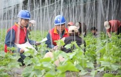 “红绿蓝”为乡村振兴“充电赋能”