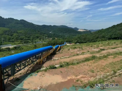 从“生态包袱”到“绿色富矿”，这项治理工程如何唤醒金山？