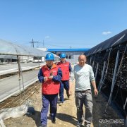 国网牡丹江东宁市供电公司：服务菌农 助力木耳产业用电安全