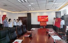 国网阿鲁科尔沁旗供电公司：开展主题党日活动