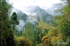 墨脱印记：雨林秘境与天堑之路