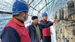 国网牡丹江东宁市供电：护航秋收保丰产 暖心服务助“耳”香