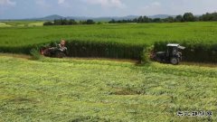 绥棱林业局公司：汉麻“废料”将变清洁完美体育 循环经济绘就产业新