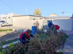 国网巴林右旗供电公司：庭院扫净映初心 舞姿翩跹暖桑榆