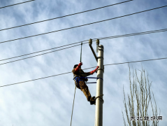 国网阿鲁科尔沁旗供电：全力冲刺！推进农配网工程建设进度