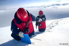 顶风冒雪巡检保供电