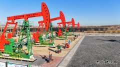 大庆油田采油一厂：精修细护攻坚百日上产