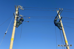 国网宁城县供电公司：创新“1+5”实训，赋能人才“三段式”培养