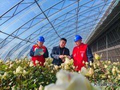 义县供电公司：精准服务助力花卉种植合作社用上“放心电”